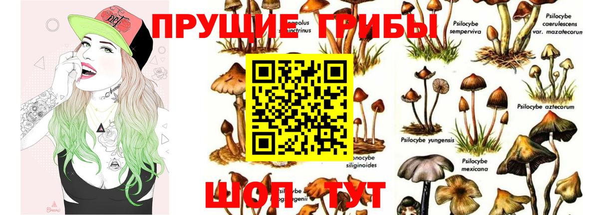 Старая Купавна  Псилоцибиновые грибы мухоморы  наркотики  Вход с VPN  Псилоцибиновые грибы ЛСД 